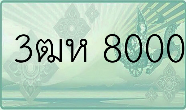 3ฒห 8000